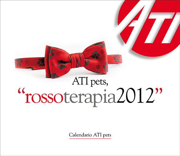 Copertina ATI 2012.jpg